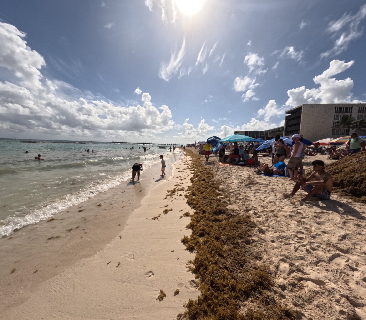 Falta de regulación limita el aprovechamiento del sargazo: empresarios