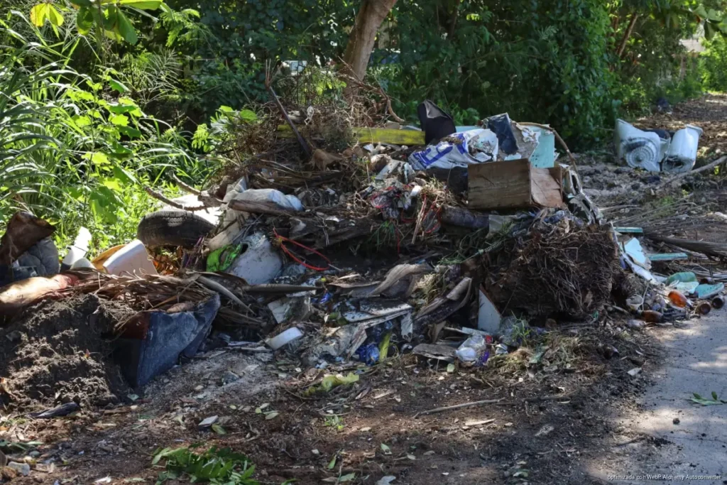Recolectan más de 30 toneladas de basura en limpieza profunda de basurero clandestino en Chetumal