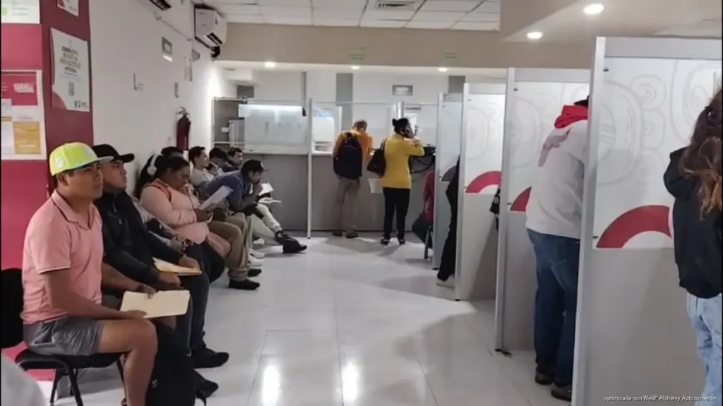 Avanza reemplacamiento vehicular en Playa del Carmen con alta participación ciudadana