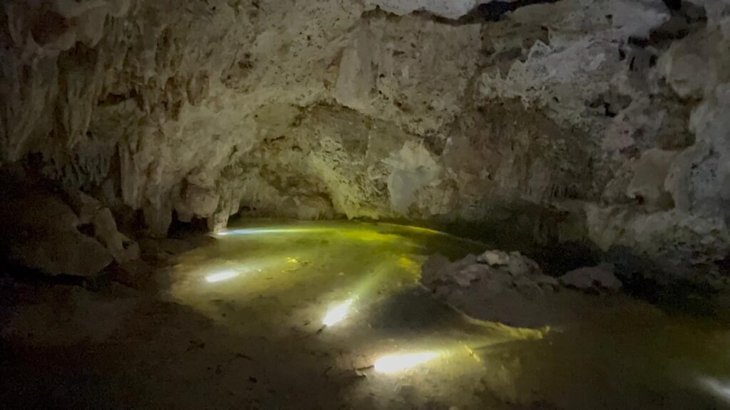 Fija proyecto Cenotes Urbanos meta de evaluar 100 cuevas en Playa del Carmen durante 2026