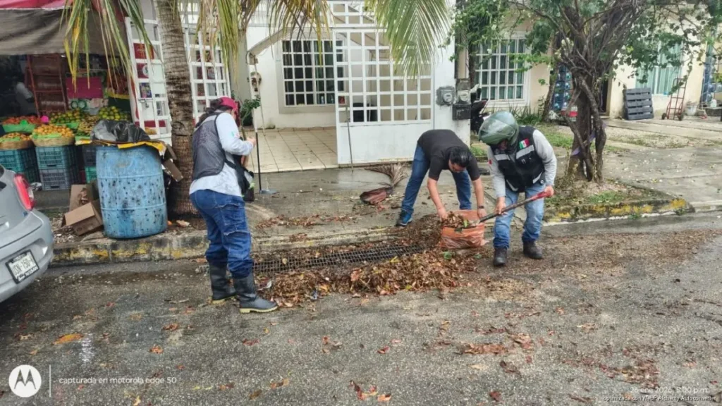 Gobierno de Estefanía Mercado activa “Operativo Tormenta” y ejecuta acciones preventivas y de recuperación tras lluvias en Playa del Carmen