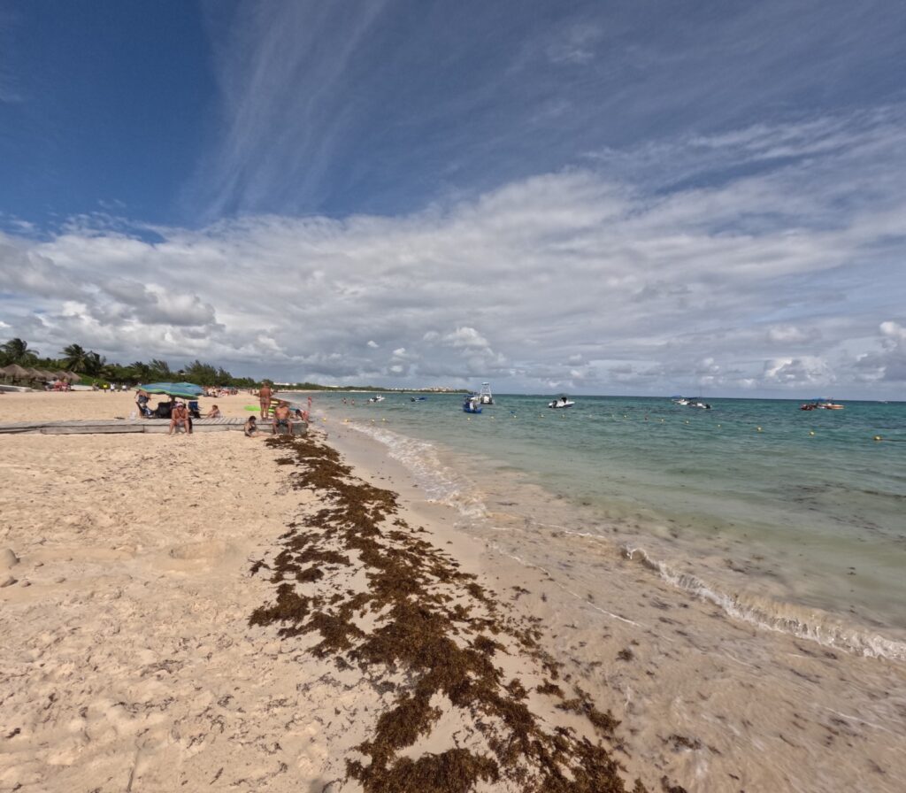 Recolección de sargazo requiere alineación entre Federación y municipios