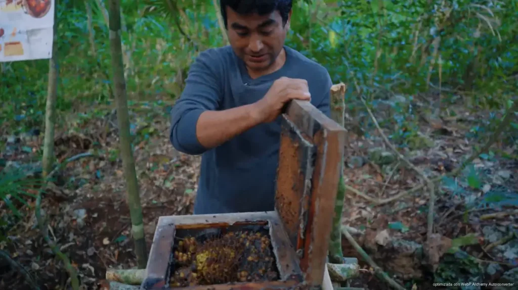Playa del Carmen, nominado al premio Excelencias Turísticas por la Ruta de la Miel y la Selva