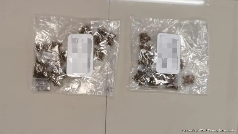 Detienen a dos presuntos narcomenudistas en Cielo Nuevo