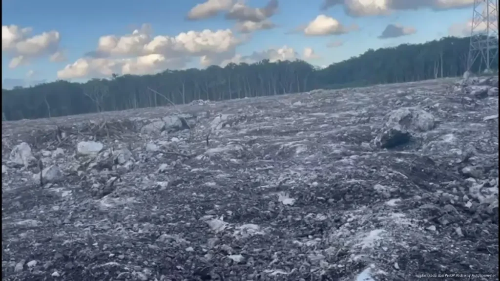 Denuncian ante Profepa riesgo ambiental por aeródromo sobre sistema de cavernas en Playa del Carmen