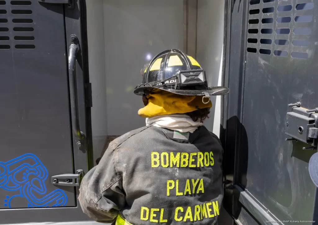 Encabeza Estefanía Mercado rescate emergente y abre expediente por abandono de cuatro “lomitos”