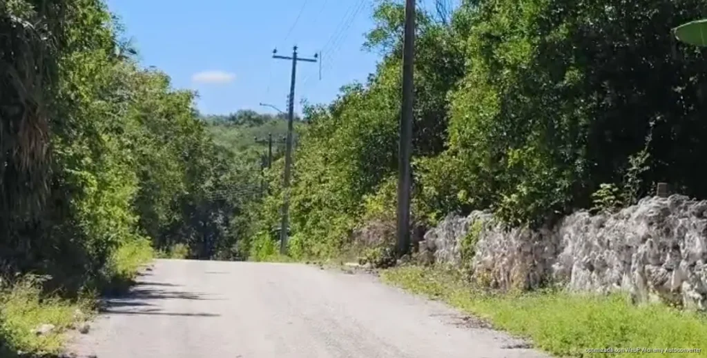 Invade maleza la vía Morelos-Naranjal y aumenta riesgo de accidentes