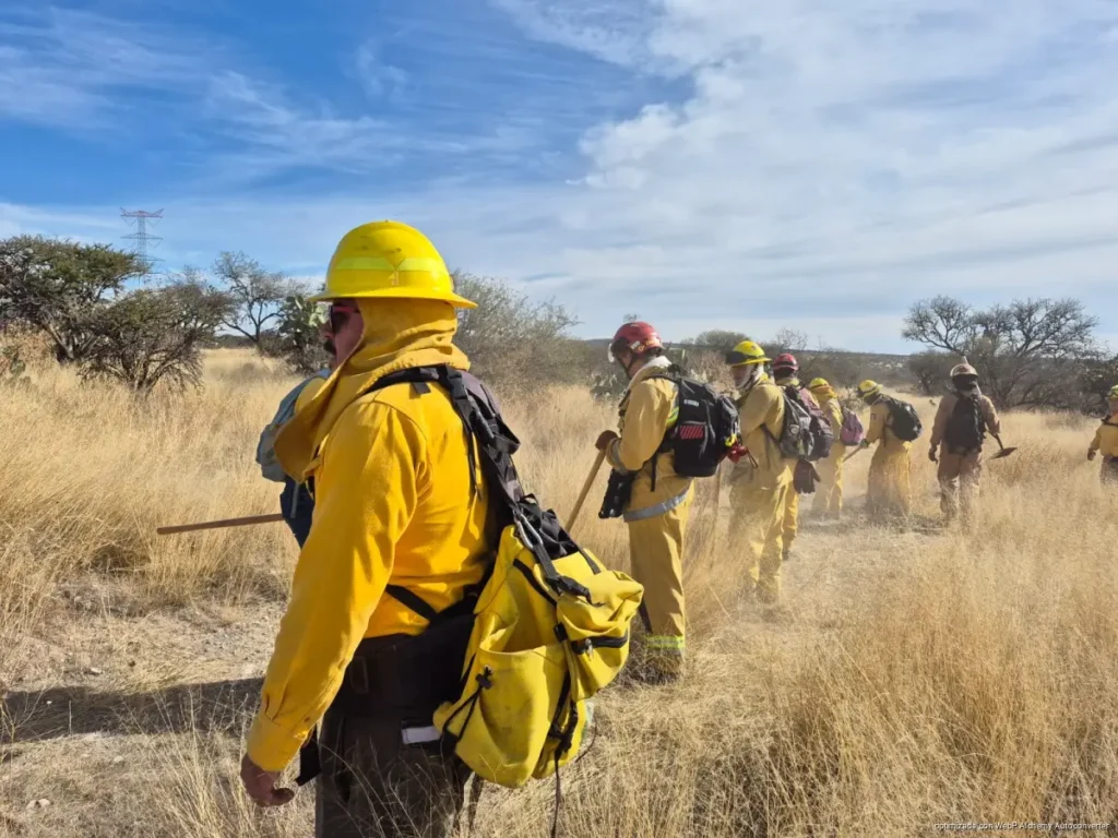 Llaman a prevenir siniestros ante vegetación seca por frentes fríos