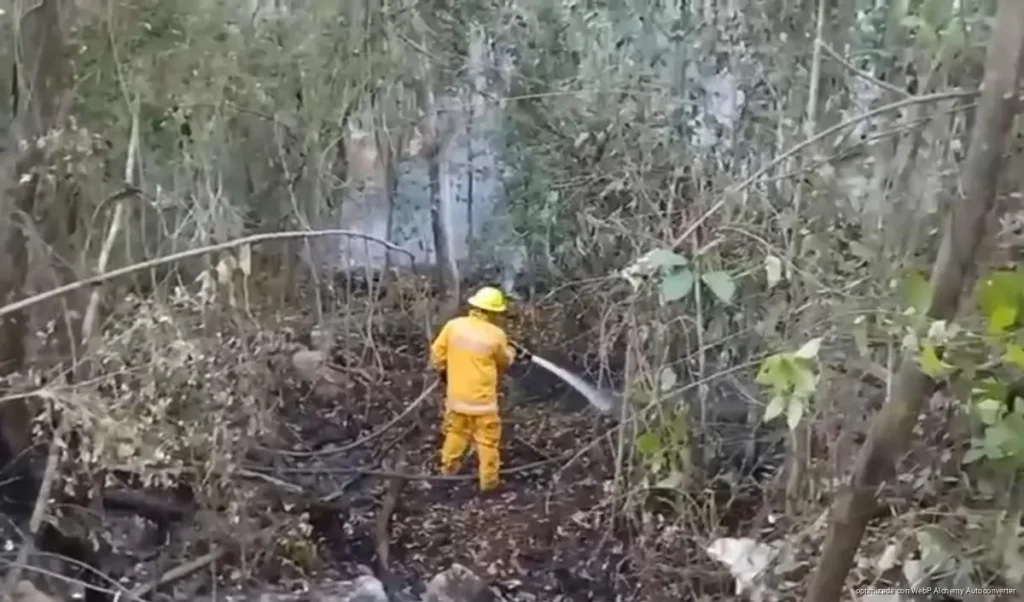 Quintana Roo se declara listo ante temporada de incendios forestales; 6 mil hectáreas afectadas en 2025