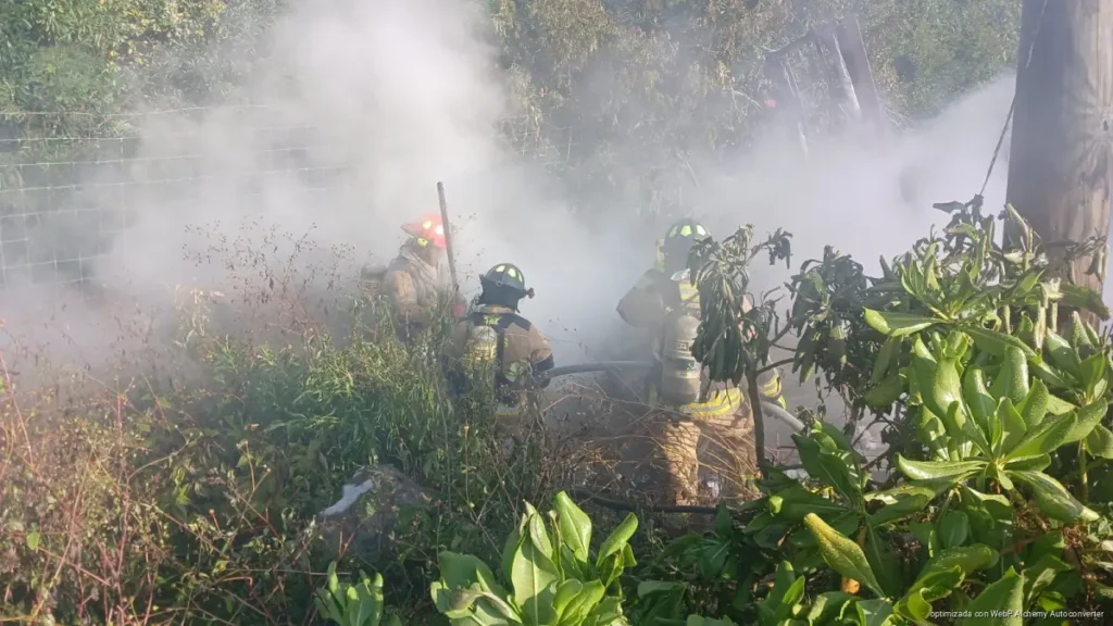 Choque e incendio en la Tulum–Playa del Carmen deja una mujer muerta y 14 heridos