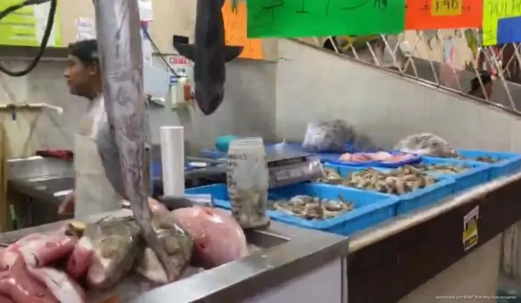 Abrirá cooperativa pesquera venta de pescado a bajo costo por temporada de vigilia