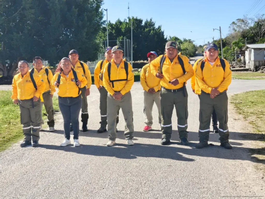 Destina CONAFOR 135 brigadistas para prevenir incendios forestales en Quintana Roo