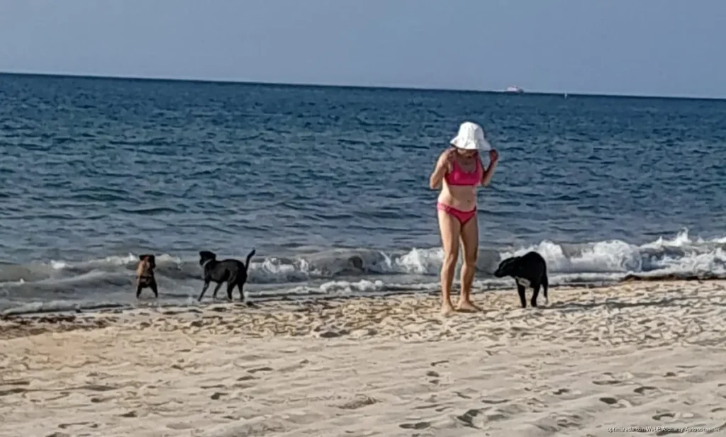 Cateos simultáneos en Cancún y Playa del Carmen dejan vehículo recuperado y presunta droga asegurada tras operativos coordinados.