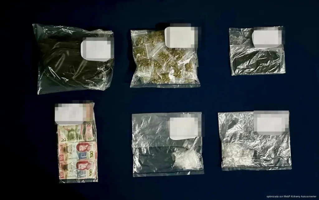 <blockquote class="twitter-tweet"><p lang="es" dir="ltr">Detienen en Cancún a “La Pastrana”, presunta líder vinculada al Cártel de Sinaloa<a href="https://twitter.com/hashtag/Canc%C3%BAn?src=hash&ref_src=twsrc%5Etfw">#Cancún</a> <a href="https://twitter.com/hashtag/Seguridad?src=hash&ref_src=twsrc%5Etfw">#Seguridad</a> <a href="https://twitter.com/hashtag/QuintanaRoo?src=hash&ref_src=twsrc%5Etfw">#QuintanaRoo</a><a href="https://t.co/mgp3dyDvcM">https://t.co/mgp3dyDvcM</a> <a href="https://t.co/0exSn9LVjm">pic.twitter.com/0exSn9LVjm</a></p>&mdash; Saber Político (@saberpolitico) <a href="https://twitter.com/saberpolitico/status/2032851510866882774?ref_src=twsrc%5Etfw">March 14, 2026</a></blockquote> <script async src="https://platform.twitter.com/widgets.js" charset="utf-8"></script>