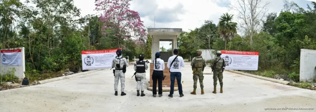 Por posibles delitos ambientales, aseguran autoridades desarrollo inmobiliario en Benito Juárez