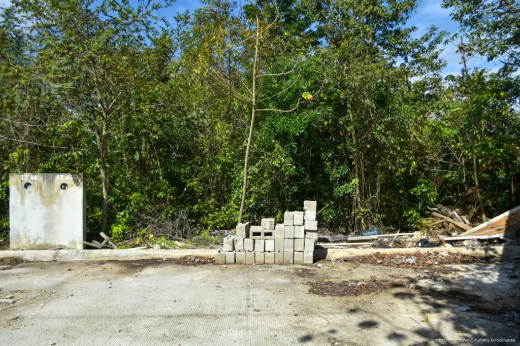 Por posibles delitos ambientales, aseguran autoridades desarrollo inmobiliario en Benito Juárez