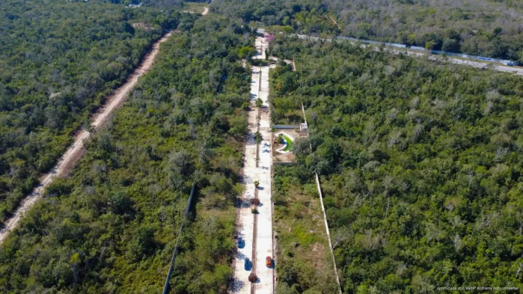 Por posibles delitos ambientales, aseguran autoridades desarrollo inmobiliario en Benito Juárez