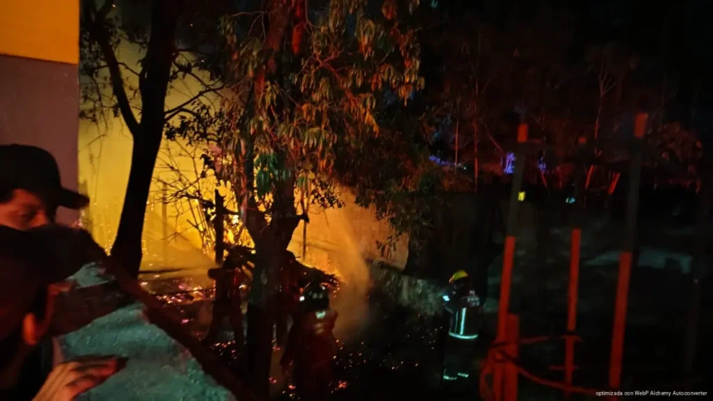 Incendian palapa con bomba molotov en Cancún; no hay lesionados