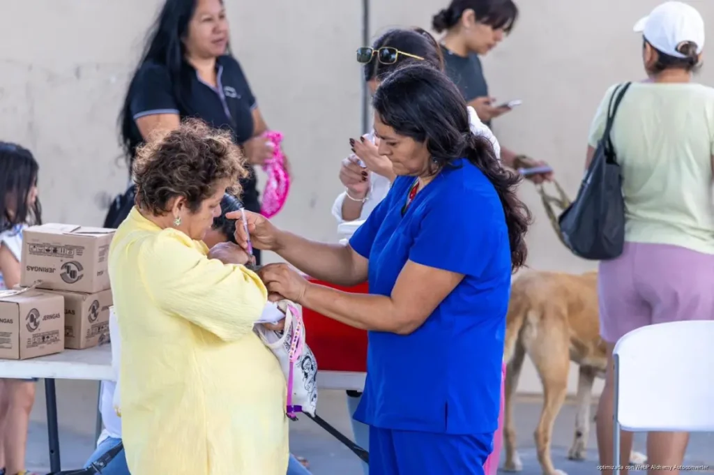 Vacunan a más de 9 mil perros en Playa del Carmen durante jornada antirrábica