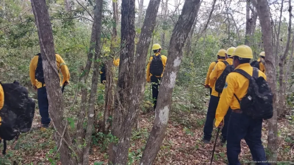 Controlan al 90% primer incendio forestal de la temporada en Tulum