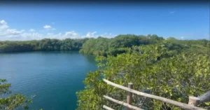 Cae afluencia en cenotes de Tulum pese a las vacaciones de Semana Santa