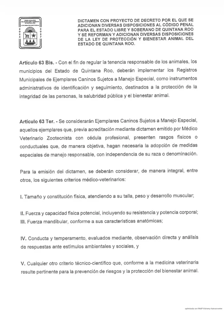 Aprueban cárcel a propietarios de mascotas que lesionen o causen la muerte de personas o animales en Quintana Roo