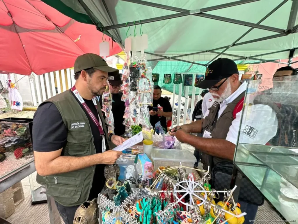 Aseguran cocodrilo y fauna exótica en tianguis de Cancún