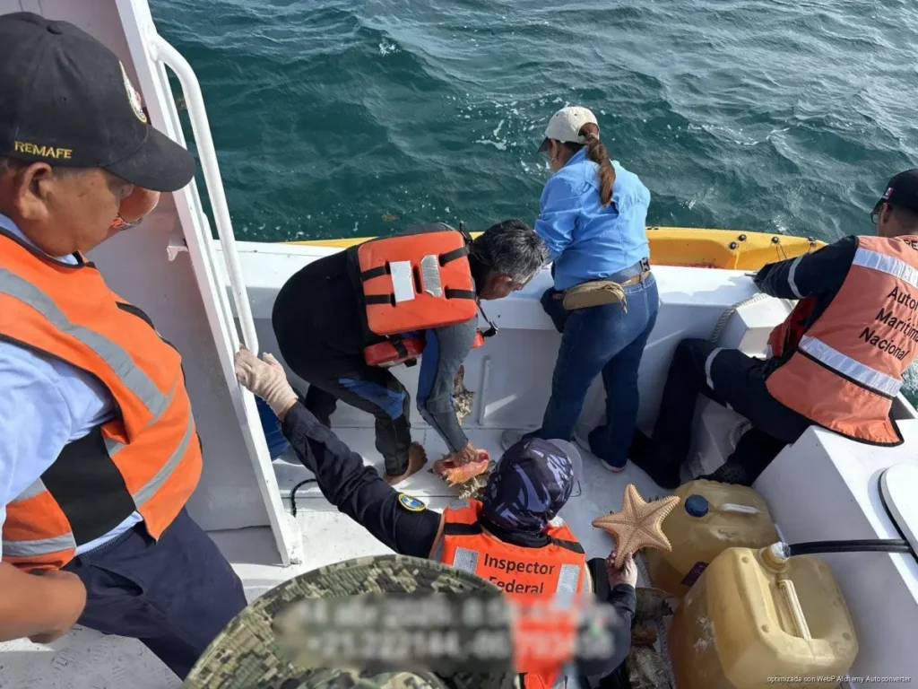 Aseguran embarcación por pesca ilegal en Yum Balam