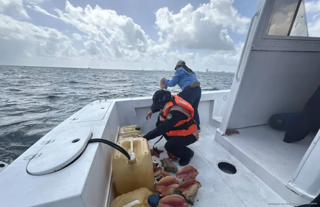 Aseguran embarcación por pesca ilegal en Yum Balam