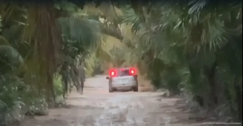 Buscan rehabilitar acceso a Punta Allen en Tulum