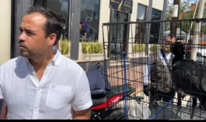 Refuerzan protección de fauna tras rescates en Cancún