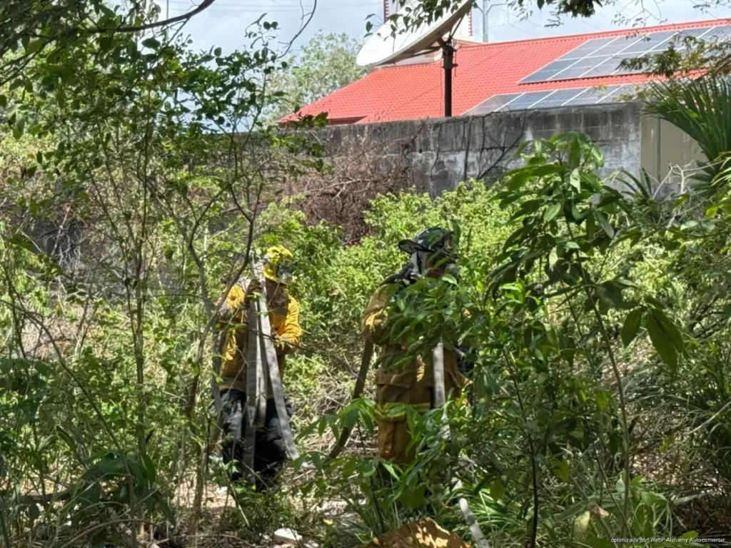 Denuncian predio abandonado como foco de incendios y contaminación en Playa del Carmen; vecinos exigen intervención urgente.