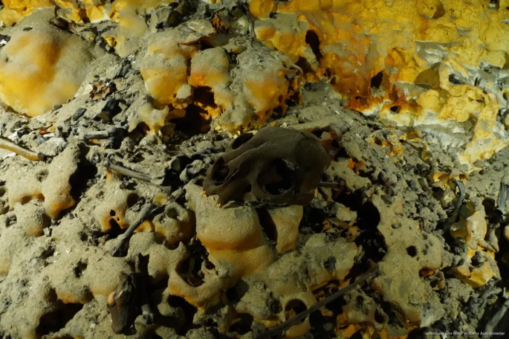 Denuncian daño a restos humanos en Hoyo Negro por buzos no autorizados