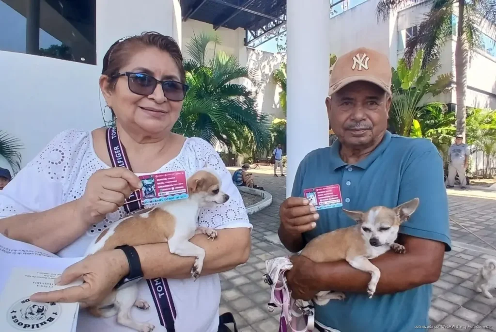Colocan 100 microchips a mascotas y suman 250 registradas en Playa del Carmen