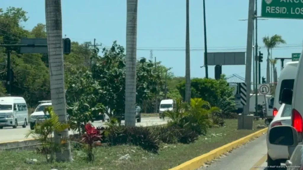 Inician reforestación del camellón central en Boulevard Playa del Carmen