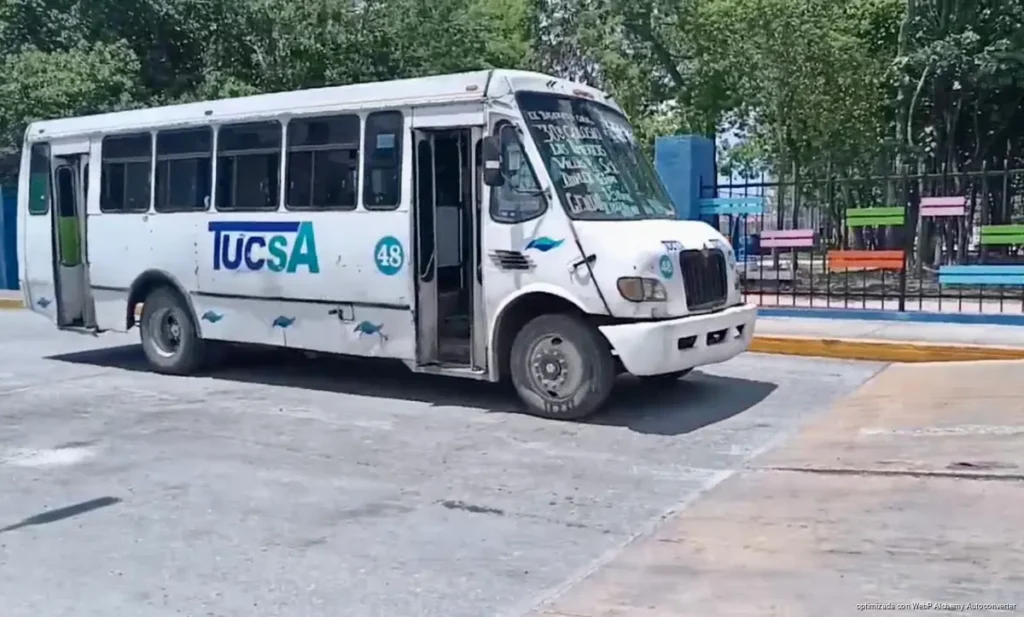 Analizan nuevas rutas y ajustes al transporte público en Playa del Carmen