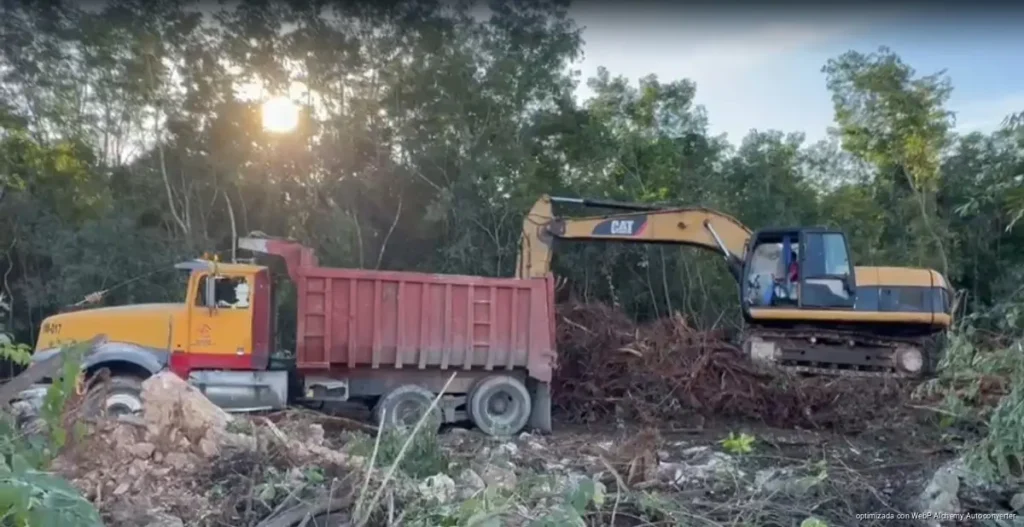 Quintana Roo, último lugar nacional en recuperación forestal por crecimiento urbano