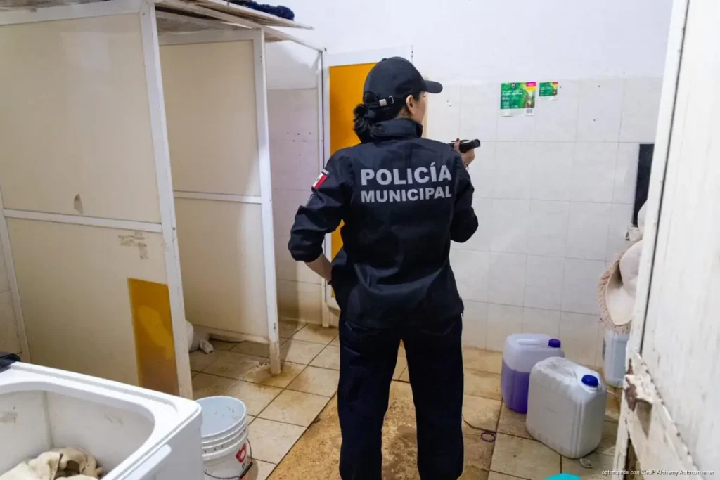 Gobierno de Estefanía Mercado, Fiscalía General y Gobierno del Estado realizan cateo en Quinta Avenida y rescatan animales exóticos