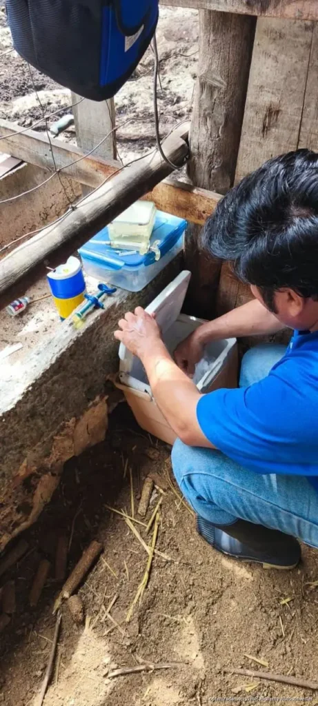 Gobierno de Estefanía Mercado lleva el programa “Veterinario en tu Rancho” a comunidades rurales