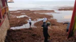 Sargazo abre puerta a inversiones con proyecto Caribe Circular en Playa