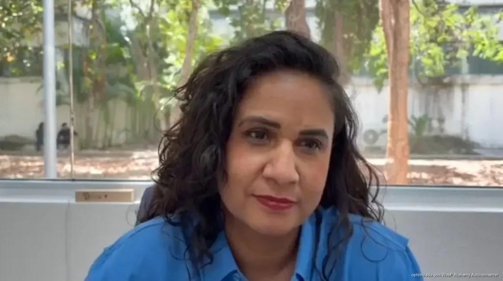 Fallas eléctricas afectan calidad de vida en playenses, alerta Danna Ramírez
