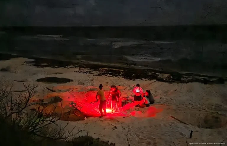 Invitan a jóvenes a sumarse al Campamento Tortuguero en Cozumel