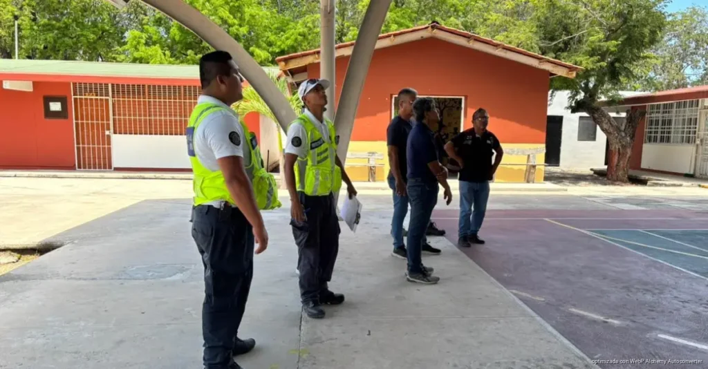 Playa del Carmen habilitará refugios para mascotas ante temporada de huracanes