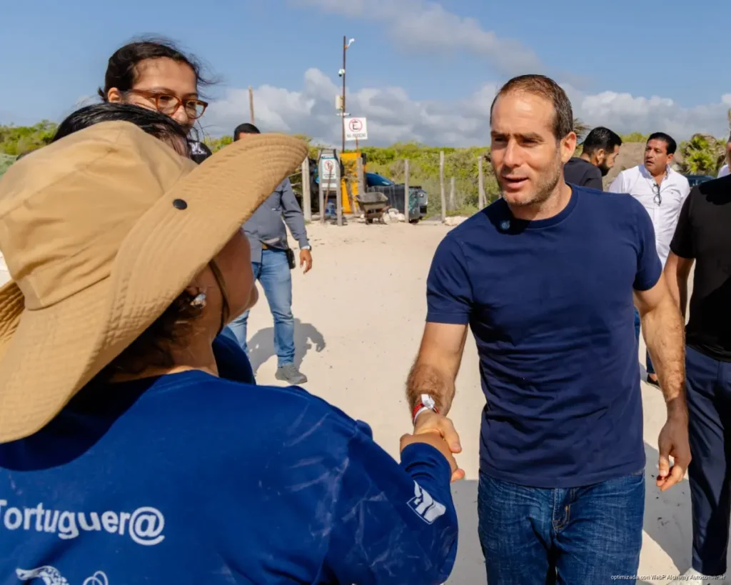 Tulum refuerza protección de tortugas marinas, ante inicio de temporada de anidación