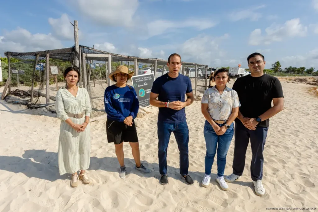 Tulum refuerza protección de tortugas marinas, ante inicio de temporada de anidación