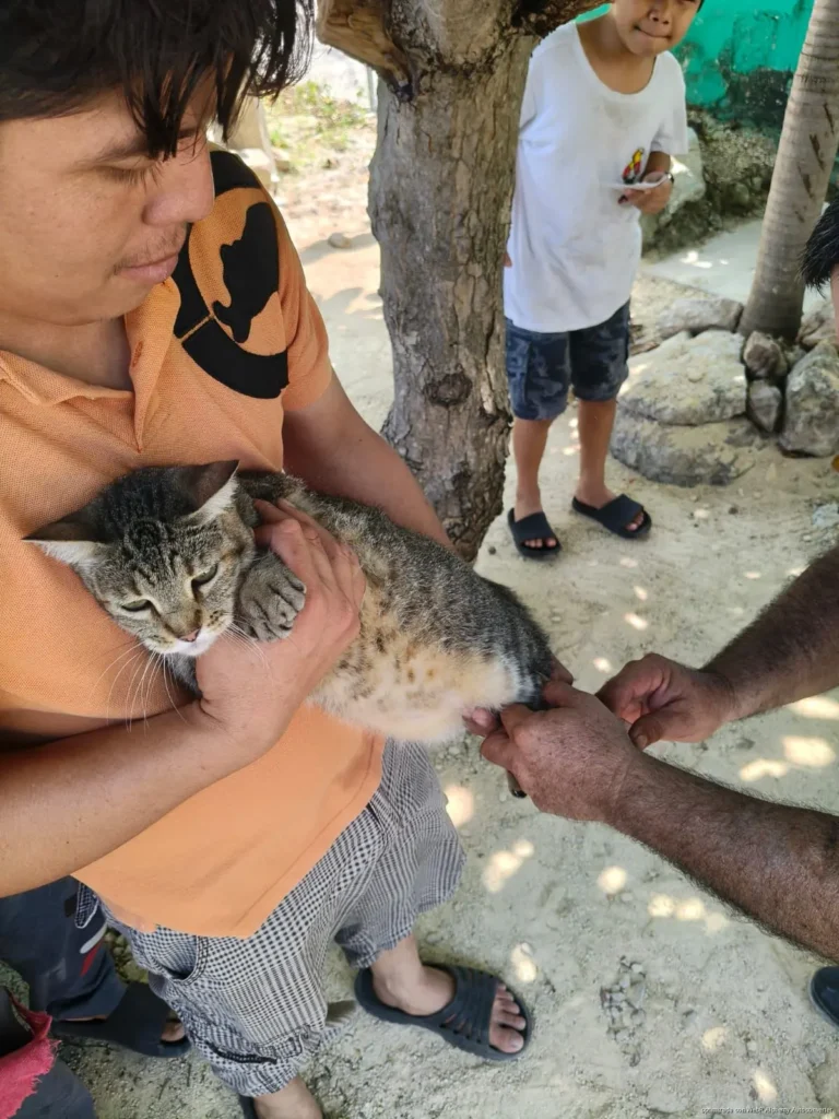 Más de 300 mascotas fueron vacunadas en Chetumal durante el primer fin de semana de la campaña antirrábica permanente