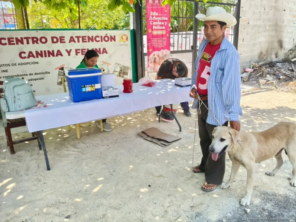 Más de 300 mascotas fueron vacunadas en Chetumal durante el primer fin de semana de la campaña antirrábica permanente