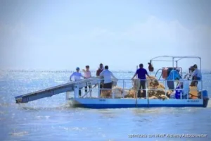 Pequeños hoteles piden más barcazas para combatir sargazo en Playa del Carmen