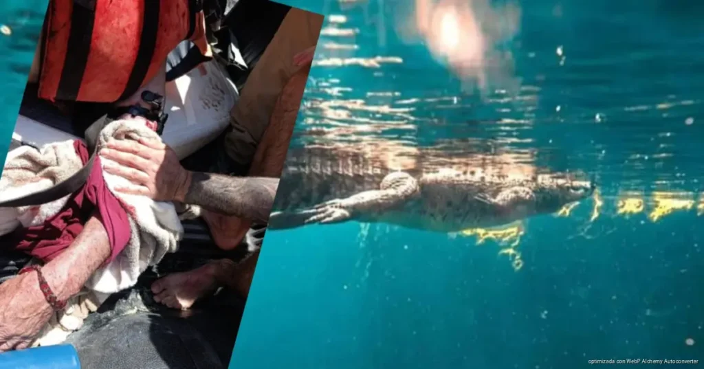 “Panchito”, cocodrilo de Casa Cenote, ataca a adulto mayor