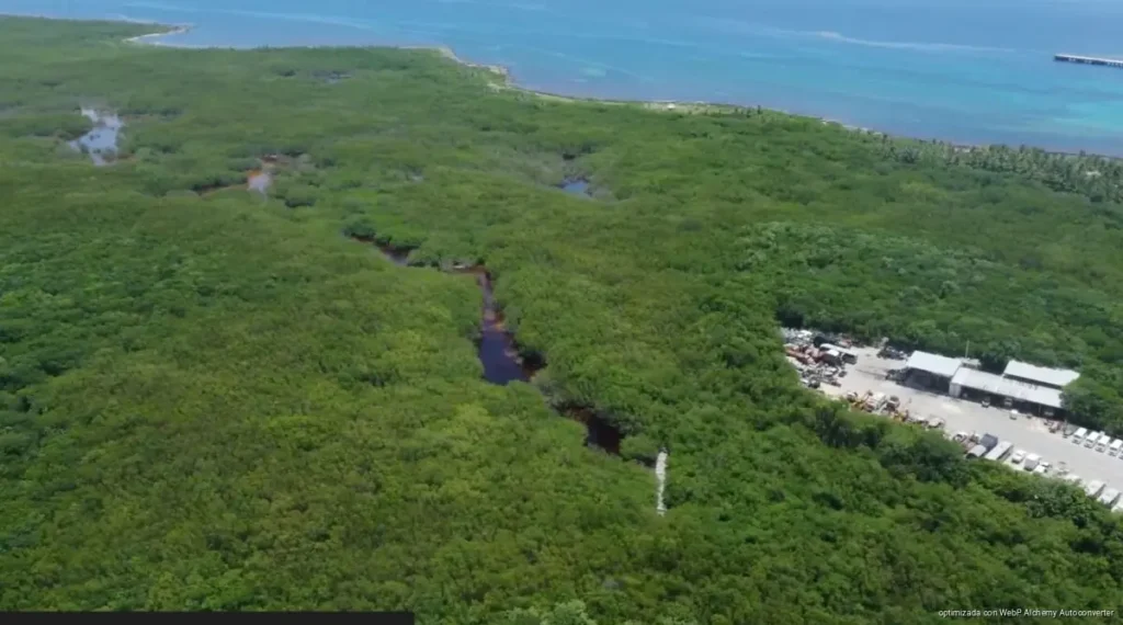 Semarnat aclara que proyecto “Perfect Day” en Mahahual aún no tiene autorización